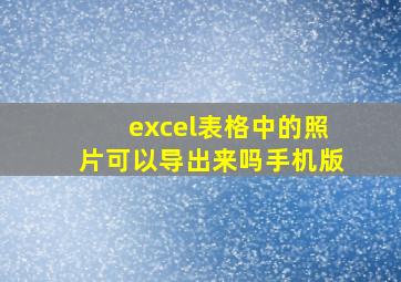 excel表格中的照片可以导出来吗手机版