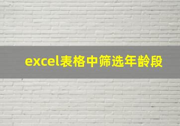 excel表格中筛选年龄段