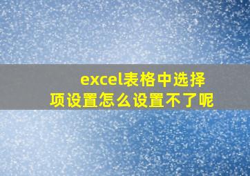 excel表格中选择项设置怎么设置不了呢