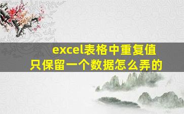 excel表格中重复值只保留一个数据怎么弄的