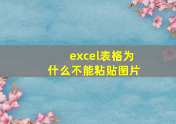 excel表格为什么不能粘贴图片