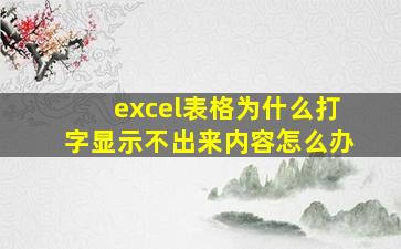 excel表格为什么打字显示不出来内容怎么办