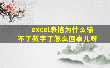 excel表格为什么输不了数字了怎么回事儿呀