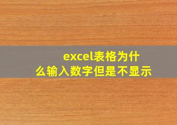 excel表格为什么输入数字但是不显示