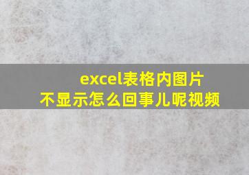 excel表格内图片不显示怎么回事儿呢视频