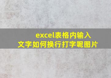 excel表格内输入文字如何换行打字呢图片