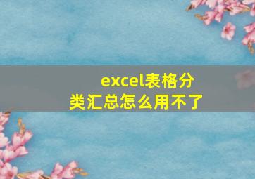 excel表格分类汇总怎么用不了