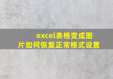 excel表格变成图片如何恢复正常格式设置