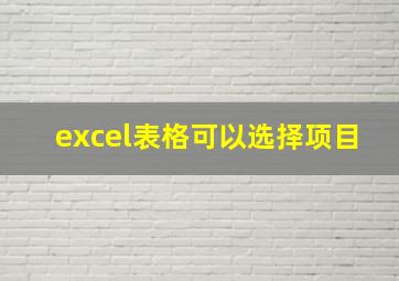 excel表格可以选择项目