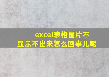 excel表格图片不显示不出来怎么回事儿呢