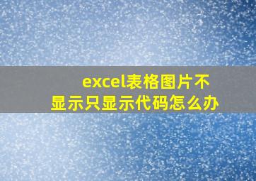 excel表格图片不显示只显示代码怎么办