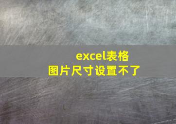 excel表格图片尺寸设置不了