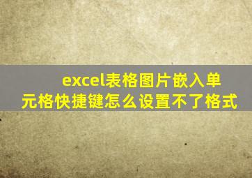 excel表格图片嵌入单元格快捷键怎么设置不了格式