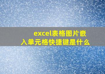 excel表格图片嵌入单元格快捷键是什么