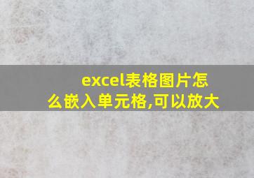 excel表格图片怎么嵌入单元格,可以放大