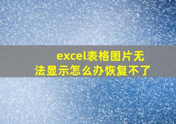 excel表格图片无法显示怎么办恢复不了