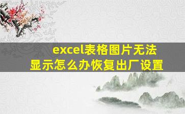 excel表格图片无法显示怎么办恢复出厂设置