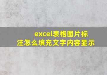 excel表格图片标注怎么填充文字内容显示