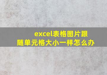 excel表格图片跟随单元格大小一样怎么办