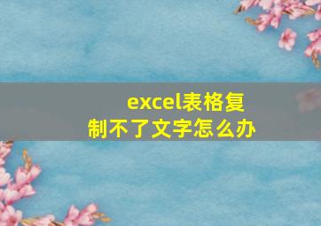 excel表格复制不了文字怎么办