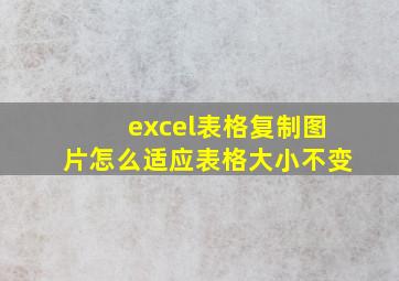 excel表格复制图片怎么适应表格大小不变