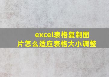 excel表格复制图片怎么适应表格大小调整