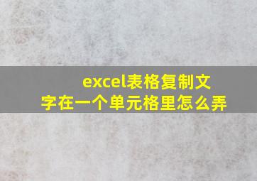 excel表格复制文字在一个单元格里怎么弄