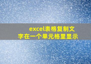 excel表格复制文字在一个单元格里显示