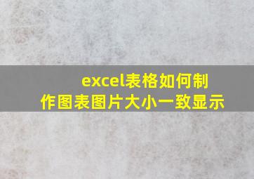 excel表格如何制作图表图片大小一致显示