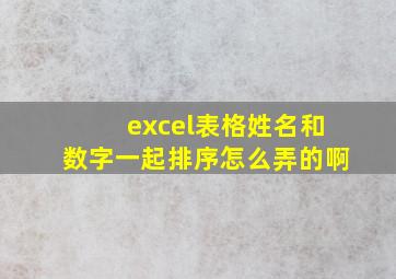 excel表格姓名和数字一起排序怎么弄的啊