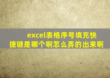 excel表格序号填充快捷键是哪个啊怎么弄的出来啊