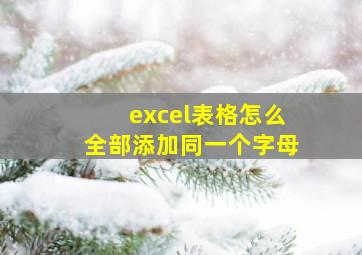 excel表格怎么全部添加同一个字母