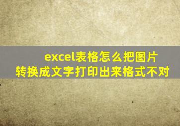 excel表格怎么把图片转换成文字打印出来格式不对