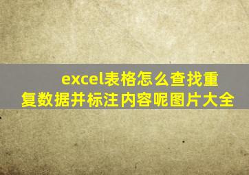 excel表格怎么查找重复数据并标注内容呢图片大全