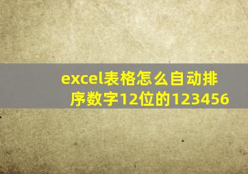 excel表格怎么自动排序数字12位的123456