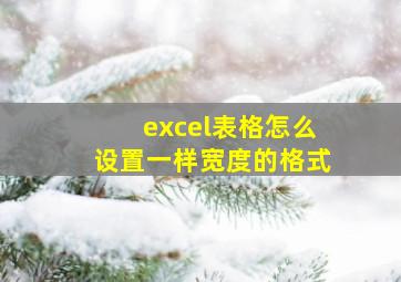 excel表格怎么设置一样宽度的格式