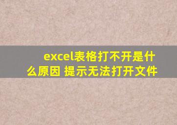 excel表格打不开是什么原因 提示无法打开文件