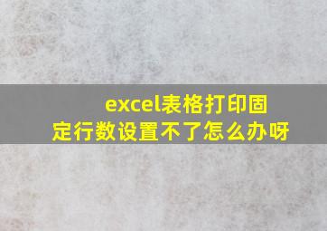 excel表格打印固定行数设置不了怎么办呀