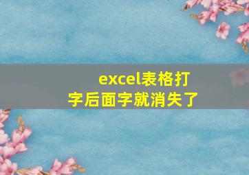 excel表格打字后面字就消失了