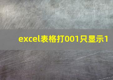 excel表格打001只显示1