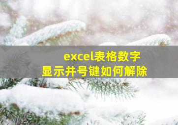 excel表格数字显示井号键如何解除