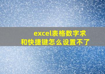 excel表格数字求和快捷键怎么设置不了