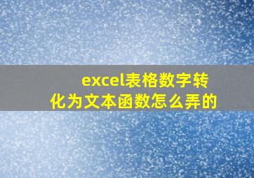 excel表格数字转化为文本函数怎么弄的