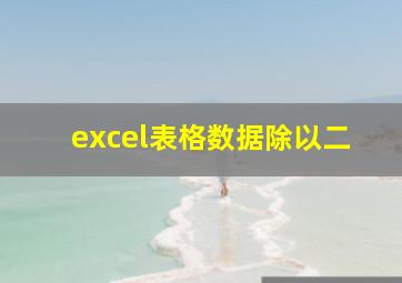 excel表格数据除以二