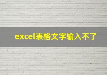 excel表格文字输入不了