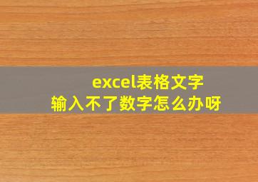 excel表格文字输入不了数字怎么办呀