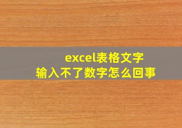 excel表格文字输入不了数字怎么回事