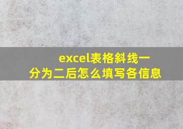 excel表格斜线一分为二后怎么填写各信息