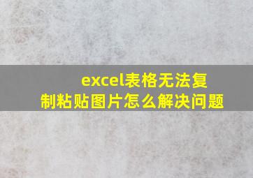 excel表格无法复制粘贴图片怎么解决问题