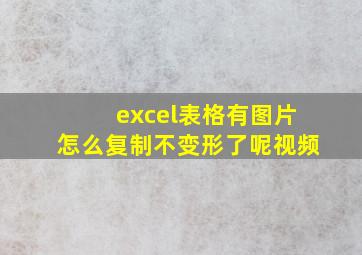 excel表格有图片怎么复制不变形了呢视频